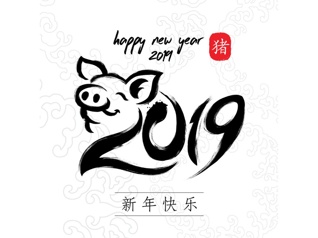 pig-2019-year-of-the-pig-happy-new-year-chinese-new-year-vector-id1061588672.jpg